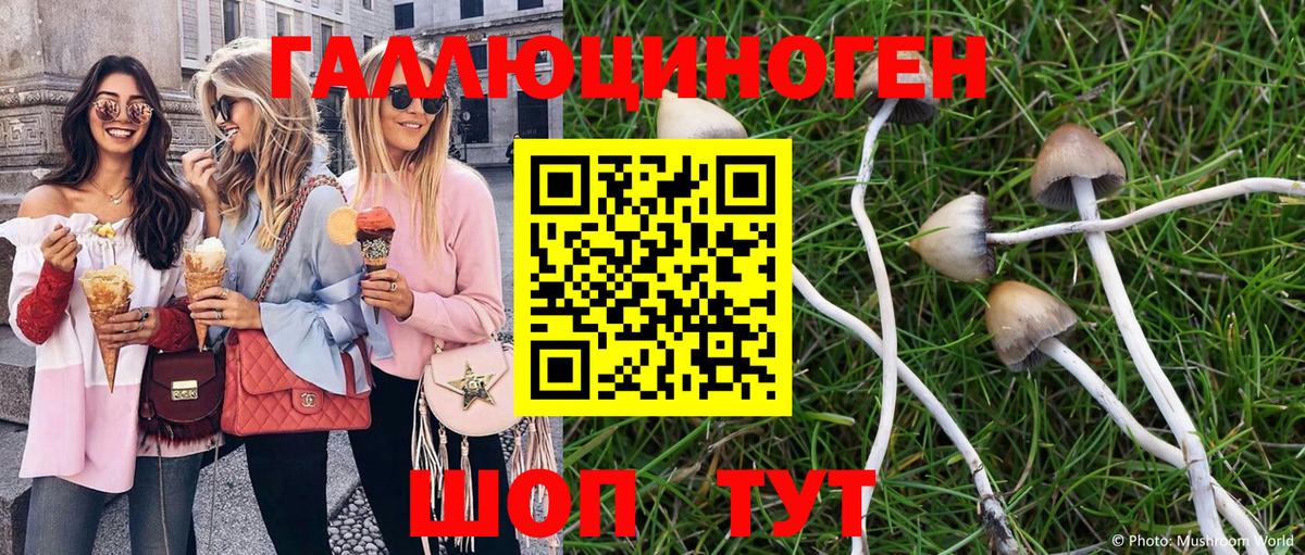 Галлюциногенные грибы Magic Shrooms  Вход с VPN  Абинск 